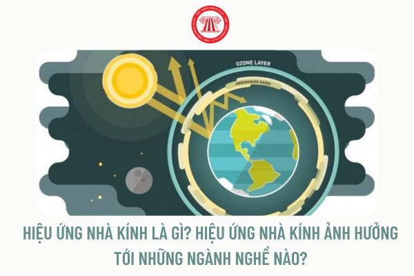 Hiệu ứng nhà kính là gì? Hiệu ứng nhà kính ảnh hưởng tới những ngành nghề nào?