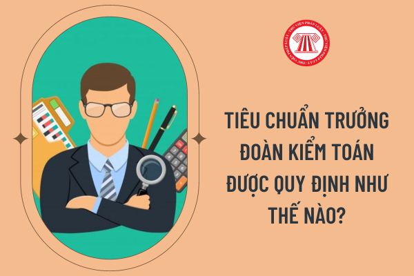 Tiêu chuẩn Trưởng Đoàn kiểm toán được quy định như thế nào?