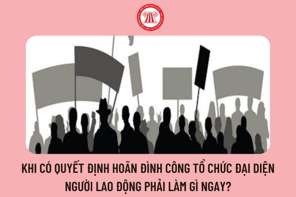 Khi có quyết định hoãn đình công tổ chức đại diện người lao động phải làm gì ngay?