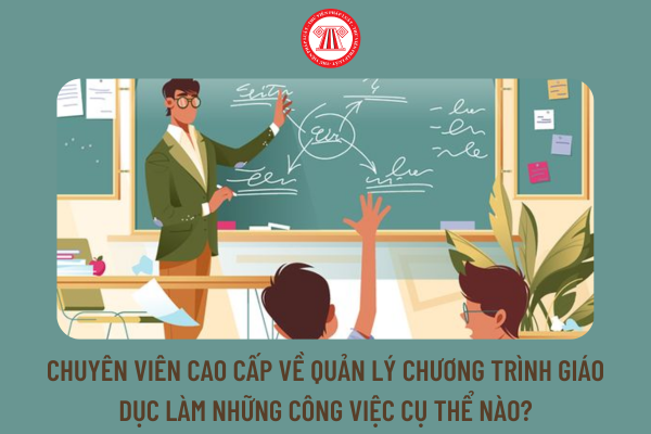 Chuyên viên cao cấp về quản lý chương trình giáo dục làm những công việc cụ thể nào?