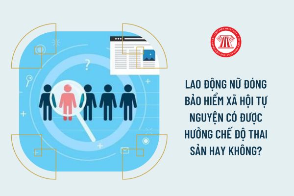 Lao động nữ đóng bảo hiểm xã hội tự nguyện có được hưởng chế độ thai sản hay không?