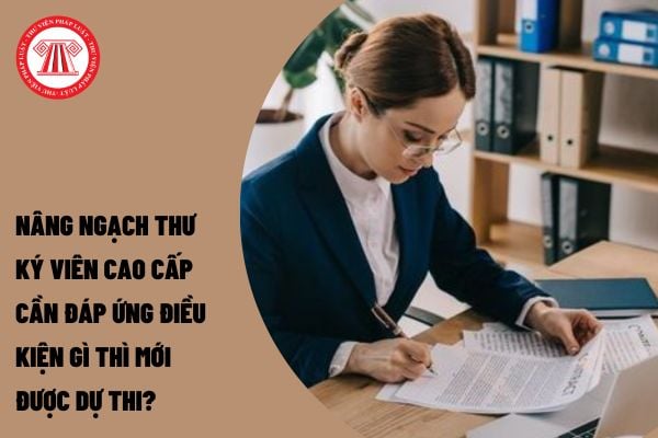 Nâng ngạch Thư ký viên cao cấp cần đáp ứng điều kiện gì thì mới được dự thi?