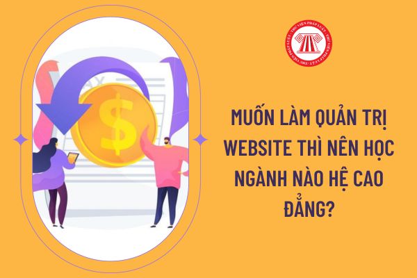 Muốn làm Quản trị website thì nên học ngành nào hệ cao đẳng?