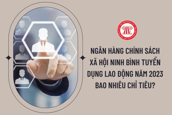 Ngân hàng Chính sách xã hội Ninh Bình tuyển dụng lao động năm 2023 bao nhiêu chỉ tiêu?