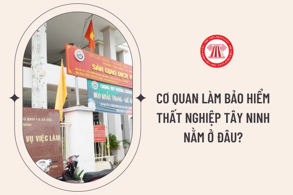 Cơ quan làm bảo hiểm thất nghiệp Tây Ninh nằm ở đâu?