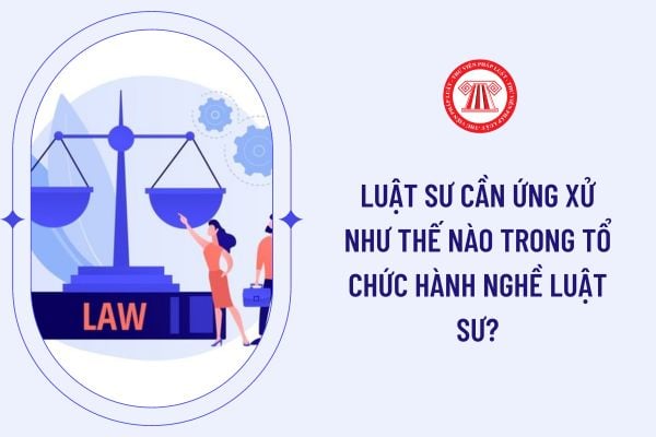 Luật sư cần ứng xử như thế nào trong tổ chức hành nghề luật sư?