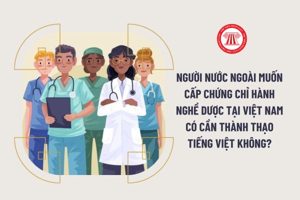 Người nước ngoài muốn cấp Chứng chỉ hành nghề dược tại Việt Nam có cần thành thạo tiếng Việt không?