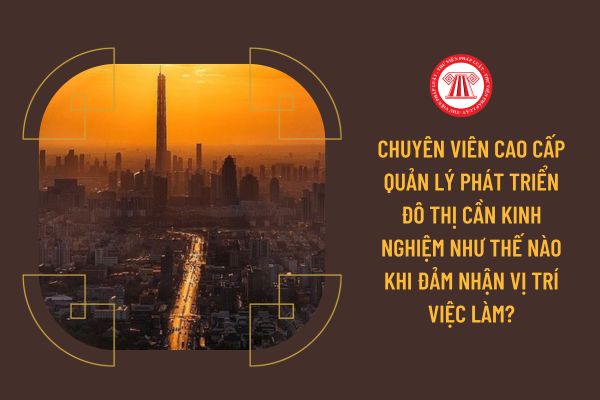 Chuyên viên cao cấp Quản lý phát triển đô thị cần kinh nghiệm như thế nào khi đảm nhận vị trí việc làm?