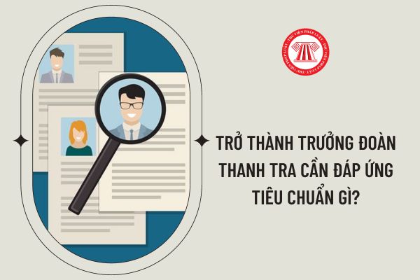 Trở thành Trưởng đoàn thanh tra cần đáp ứng tiêu chuẩn gì?