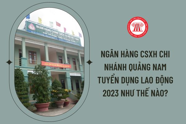 Ngân hàng CSXH chi nhánh Quảng Nam tuyển dụng lao động 2023 như thế nào?