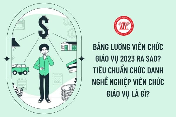 Bảng lương viên chức giáo vụ 2023 ra sao? Tiêu chuẩn chức danh nghề nghiệp viên chức giáo vụ là gì?