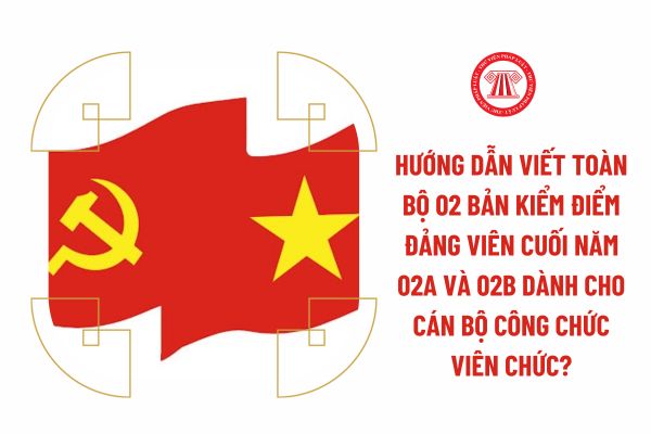 Hướng dẫn viết toàn bộ 02 bản kiểm điểm Đảng viên cuối năm 02A và 02B dành cho cán bộ công chức viên chức?