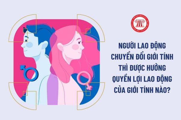 Người lao động chuyển đổi giới tính thì được hưởng quyền lợi lao động của giới tính nào?