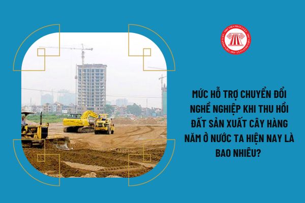 Mức hỗ trợ chuyển đổi nghề nghiệp khi thu hồi đất sản xuất cây hàng năm ở nước ta hiện nay là bao nhiêu? 