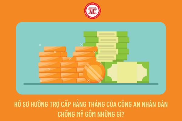 Hồ sơ hưởng trợ cấp hằng tháng của Công an nhân dân chống Mỹ gồm những gì?