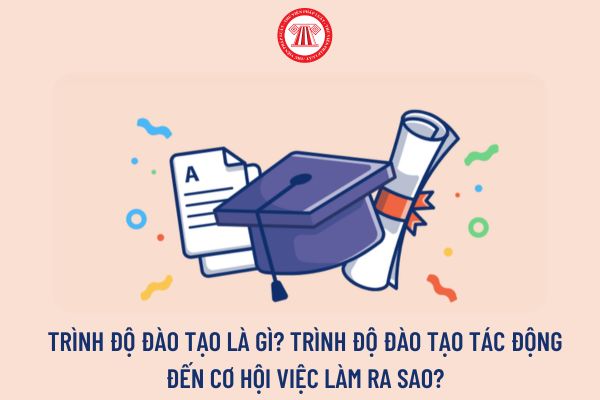 Trình độ đào tạo là gì? Trình độ đào tạo tác động đến cơ hội việc làm ra sao?