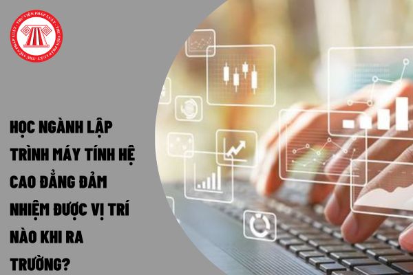 Học ngành lập trình máy tính hệ cao đẳng đảm nhiệm được vị trí nào khi ra trường?