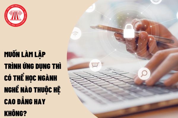 Muốn làm lập trình ứng dụng thì có thể học ngành nghề nào thuộc hệ cao đẳng hay không?