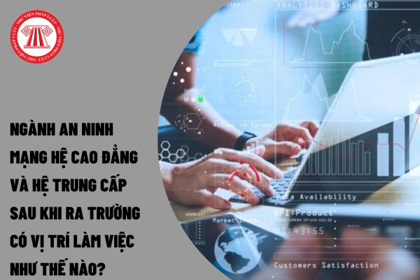 Ngành an ninh mạng hệ cao đẳng và hệ trung cấp sau khi ra trường có vị trí làm việc như thế nào?