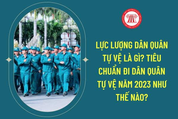 Lực lượng dân quân tự vệ là gì? Tiêu chuẩn đi dân quân tự vệ năm 2023 như thế nào?