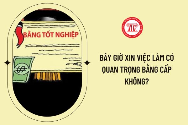 Bây giờ xin việc làm có quan trọng bằng cấp không?