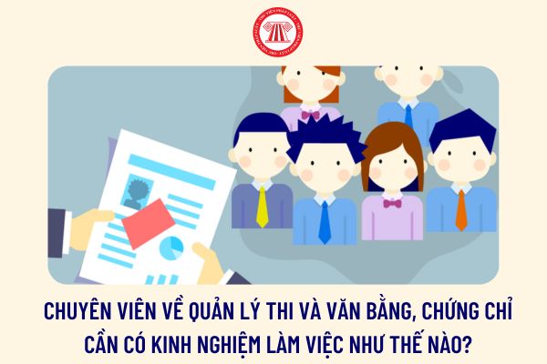 Chuyên viên về quản lý thi và văn bằng, chứng chỉ cần có kinh nghiệp làm việc như thế nào?