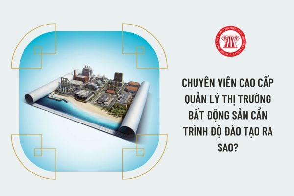 Chuyên viên cao cấp Quản lý thị trường bất động sản cần trình độ đào tạo ra sao?