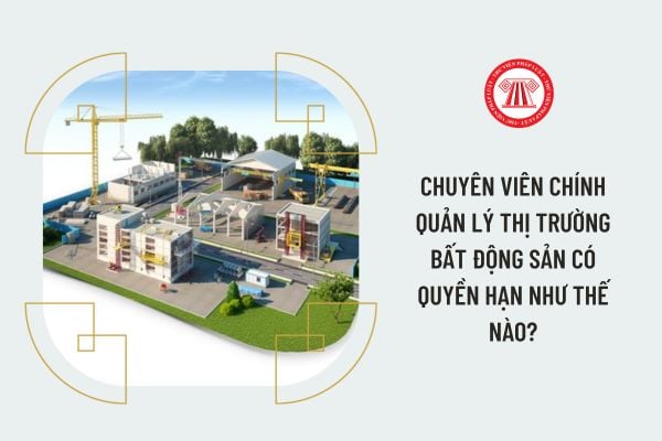 Chuyên viên chính Quản lý thị trường bất động sản có quyền hạn như thế nào?