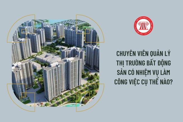 Chuyên viên Quản lý thị trường bất động sản có nhiệm vụ làm công việc cụ thể nào?