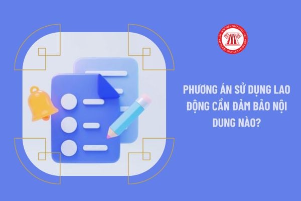 Phương án sử dụng lao động cần đảm bảo nội dung nào?