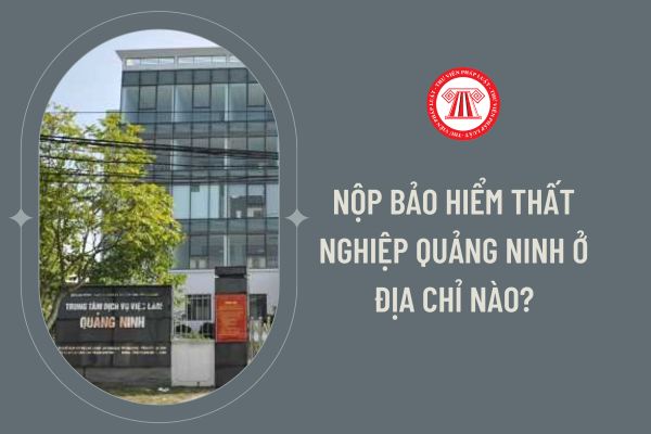 Nộp bảo hiểm thất nghiệp Quảng Ninh ở địa chỉ nào?