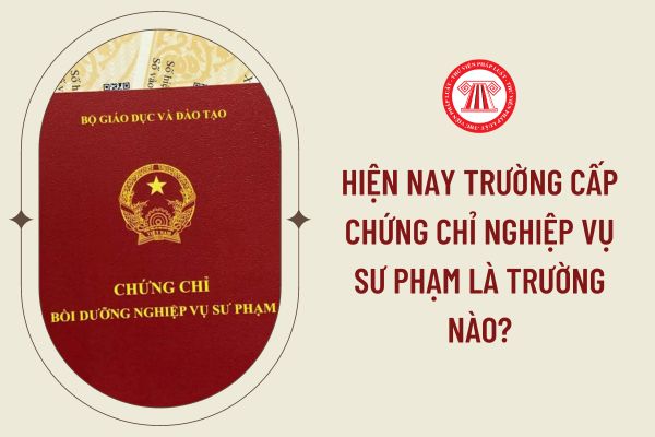 Hiện nay trường cấp chứng chỉ nghiệp vụ sư phạm là trường nào?