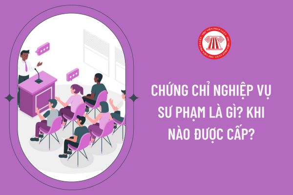 Chứng chỉ nghiệp vụ sư phạm là gì? Khi nào được cấp?