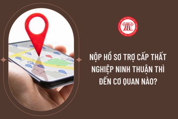 Nộp hồ sơ trợ cấp thất nghiệp Ninh Thuận thì đến cơ quan nào?