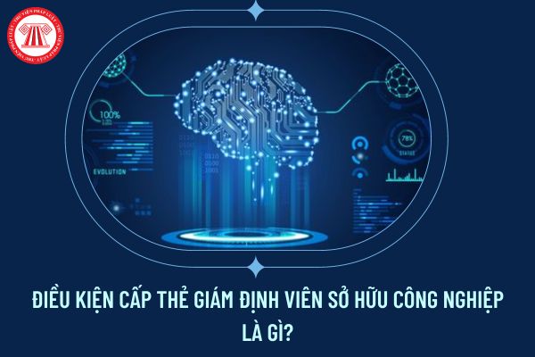 Điều kiện cấp Thẻ giám định viên sở hữu công nghiệp là gì?