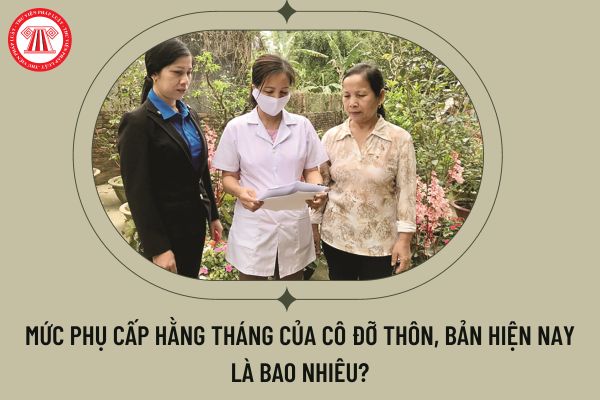 Mức phụ cấp hằng tháng của cô đỡ thôn, bản hiện nay là bao nhiêu?