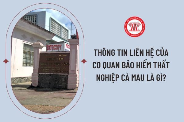 Thông tin liên hệ của cơ quan bảo hiểm thất nghiệp Cà Mau là gì?