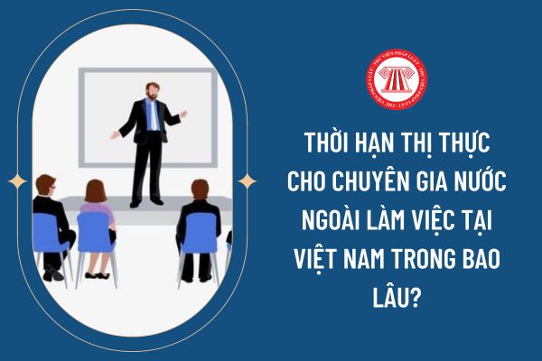Thời hạn thị thực cho chuyên gia nước ngoài làm việc tại Việt Nam trong bao lâu?