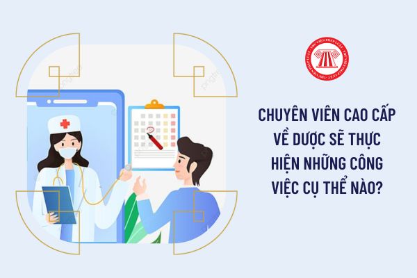 Chuyên viên cao cấp về Dược sẽ thực hiện những công việc cụ thể nào?