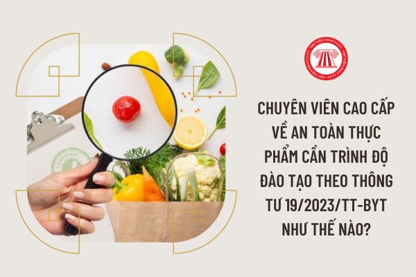 Chuyên viên cao cấp về An toàn thực phẩm cần trình độ đào tạo theo Thông tư 19/2023/TT-BYT như thế nào?