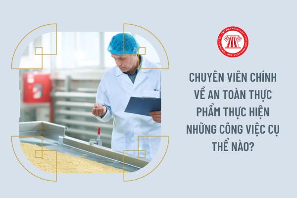 Chuyên viên chính về An toàn thực phẩm thực hiện những công việc cụ thể nào?