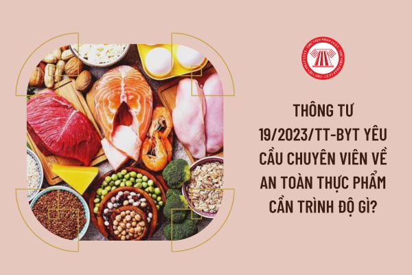 Thông tư 19/2023/TT-BYT yêu cầu chuyên viên về An toàn thực phẩm cần trình độ gì?