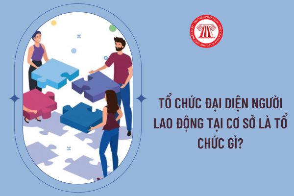 Tổ chức đại diện người lao động tại cơ sở là tổ chức gì?