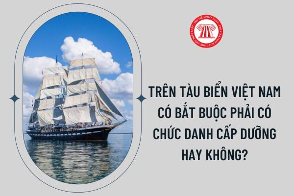 Trên tàu biển Việt Nam có bắt buộc phải có chức danh cấp dưỡng hay không?