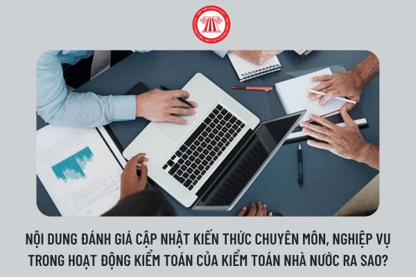 Nội dung đánh giá cập nhật kiến thức chuyên môn, nghiệp vụ trong hoạt động kiểm toán của Kiểm toán nhà nước ra sao?