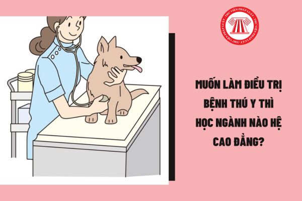 Muốn làm điều trị bệnh thú y thì học ngành nào hệ cao đẳng?