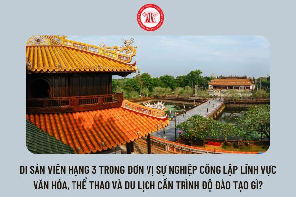 Di sản viên hạng 3 trong đơn vị sự nghiệp công lập lĩnh vực văn hóa, thể thao và du lịch cần trình độ đào tạo gì?