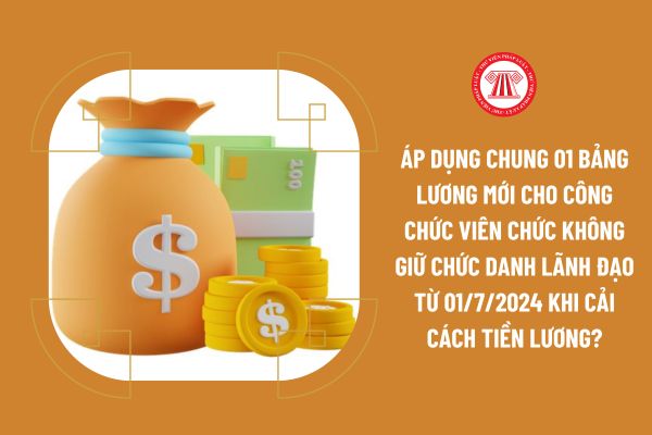 Áp dụng chung 01 bảng lương mới cho công chức viên chức không giữ chức danh lãnh đạo từ 01/7/2024 khi cải cách tiền lương?