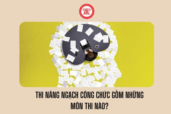 Năm nay thi nâng ngạch công chức gồm những môn thi nào?