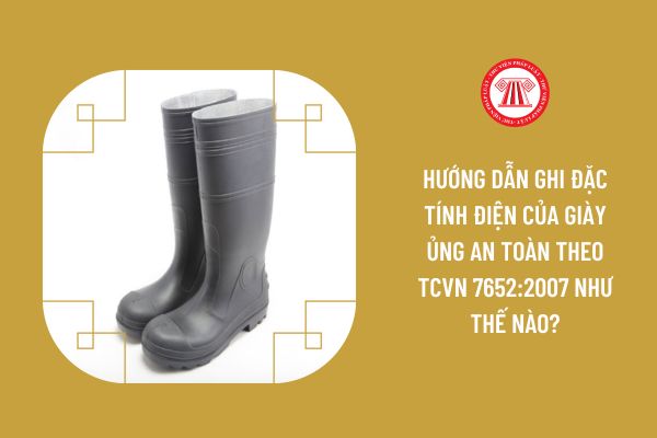 Hướng dẫn ghi đặc tính điện của giày ủng an toàn theo TCVN 7652:2007 như thế nào?